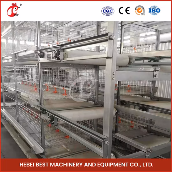 Bestchickencage China Chicken Coop House Fornecedor H Frame Automatic Boriler Gaiolas OEM Material de Madeira Personalizado Caixa de Galinha