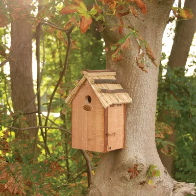 Ferramentas e equipamentos de jardinagem Casa de pássaros de jardim Casa de pássaros de madeira inacabada Casa de ninho de pássaros